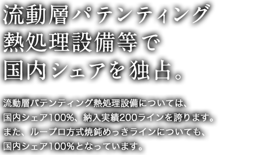 流動層パテンティング熱処理設備等で国内シェアを独占。
