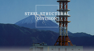 STEEL STRUCTURAL DIVISION