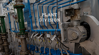 PLANT DIVISION
