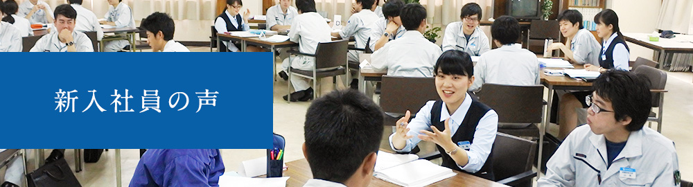 新入社員の声