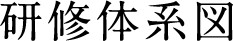 研修体系図